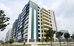 Mandai Connection (D25), Factory #584822481